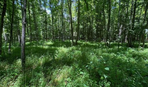 Photo #17 of 2910 Hills Neck Road, Ernul, NC 1.9 acres