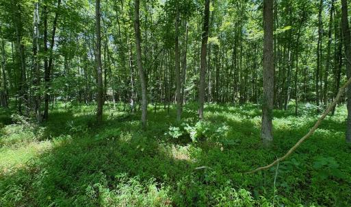 Photo #5 of 2910 Hills Neck Road, Ernul, NC 1.9 acres