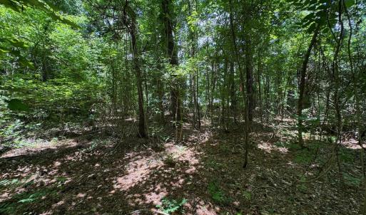 Photo #23 of 2910 Hills Neck Road, Ernul, NC 1.9 acres