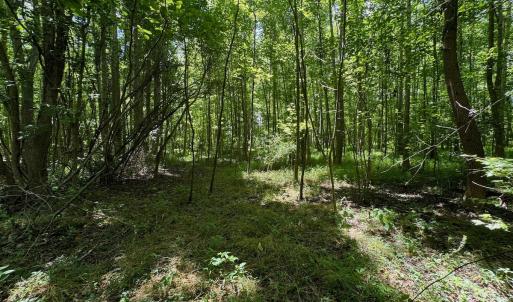 Photo #25 of 2910 Hills Neck Road, Ernul, NC 1.9 acres