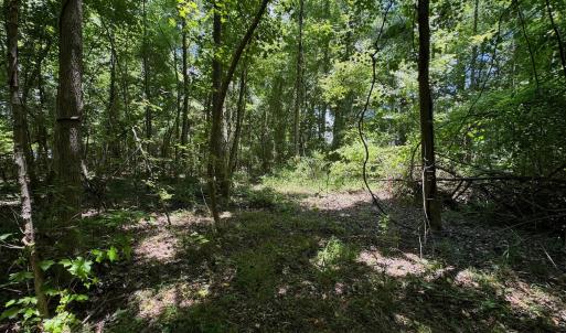 Photo #29 of 2910 Hills Neck Road, Ernul, NC 1.9 acres