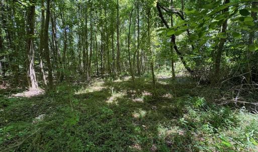 Photo #31 of 2910 Hills Neck Road, Ernul, NC 1.9 acres