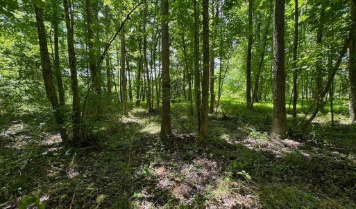 Photo #33 of 2910 Hills Neck Road, Ernul, NC 1.9 acres