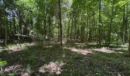 Photo #35 of 2910 Hills Neck Road, Ernul, NC 1.9 acres