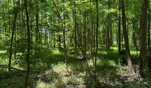 Photo #37 of 2910 Hills Neck Road, Ernul, NC 1.9 acres