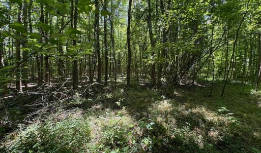 Photo #39 of 2910 Hills Neck Road, Ernul, NC 1.9 acres