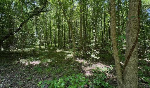 Photo #41 of 2910 Hills Neck Road, Ernul, NC 1.9 acres