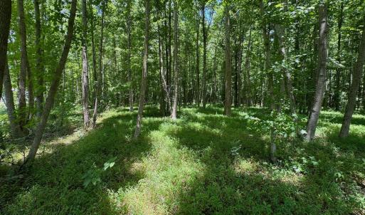 Photo #43 of 2910 Hills Neck Road, Ernul, NC 1.9 acres