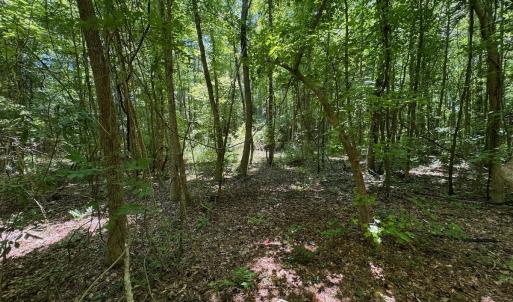 Photo #46 of 2910 Hills Neck Road, Ernul, NC 1.9 acres