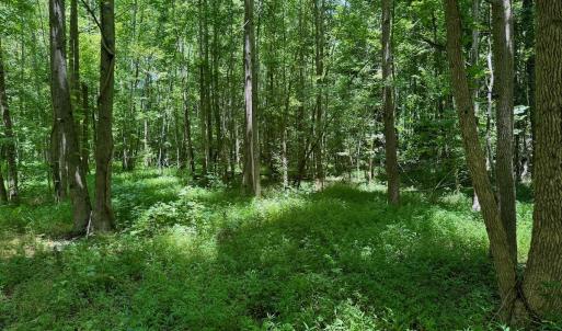 Photo #47 of 2910 Hills Neck Road, Ernul, NC 1.9 acres