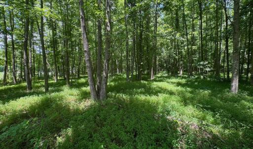 Photo #48 of 2910 Hills Neck Road, Ernul, NC 1.9 acres