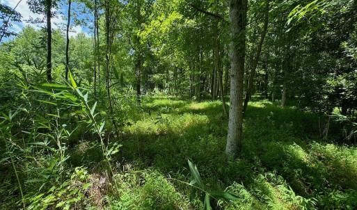 Photo #49 of 2910 Hills Neck Road, Ernul, NC 1.9 acres