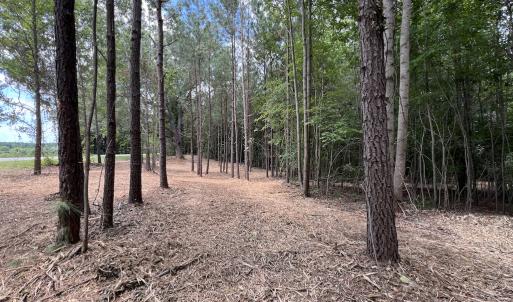 Photo #16 of 8 Peachtree Hills Road, Spring Hope, NC 11.0 acres
