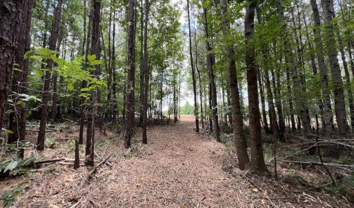 Photo #17 of 8 Peachtree Hills Road, Spring Hope, NC 11.0 acres