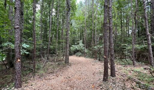 Photo #18 of 8 Peachtree Hills Road, Spring Hope, NC 11.0 acres