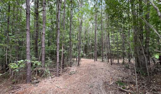 Photo #19 of 8 Peachtree Hills Road, Spring Hope, NC 11.0 acres