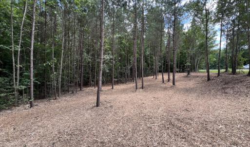 Photo #20 of 8 Peachtree Hills Road, Spring Hope, NC 11.0 acres