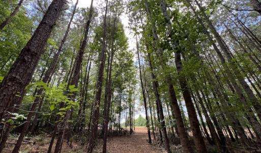Photo #21 of 8 Peachtree Hills Road, Spring Hope, NC 11.0 acres