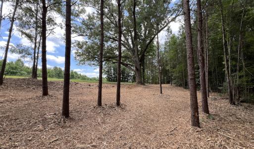 Photo #22 of 8 Peachtree Hills Road, Spring Hope, NC 11.0 acres