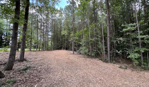 Photo #24 of 8 Peachtree Hills Road, Spring Hope, NC 11.0 acres