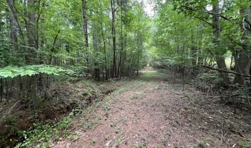 Photo #25 of 8 Peachtree Hills Road, Spring Hope, NC 11.0 acres