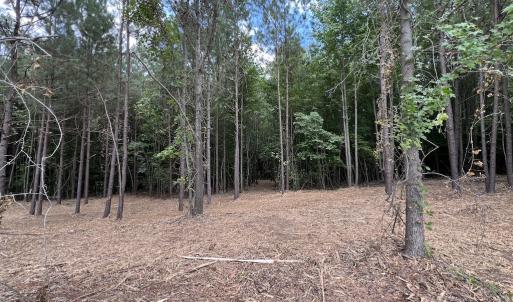 Photo #26 of 8 Peachtree Hills Road, Spring Hope, NC 11.0 acres
