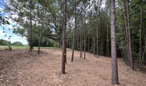 Photo #27 of 8 Peachtree Hills Road, Spring Hope, NC 11.0 acres