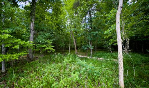 Photo #14 of Off Townsville Road - Lot 4B, Bullock, NC 18.8 acres