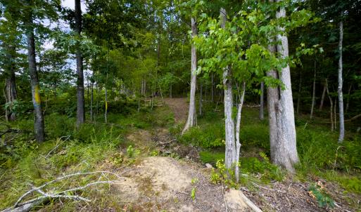 Photo #18 of Off Townsville Road - Lot 4B, Bullock, NC 18.8 acres