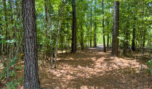 Photo #27 of Off Townsville Road - Lot 4B, Bullock, NC 18.8 acres