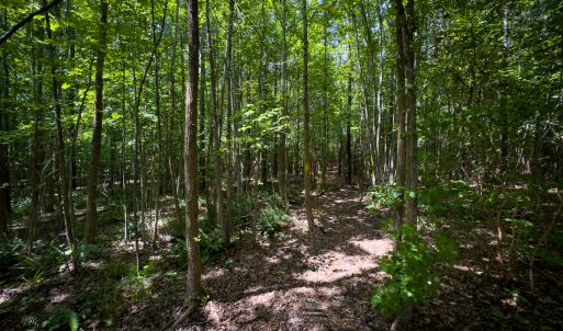 Photo #36 of Off Townsville Road - Lot 4B, Bullock, NC 18.8 acres