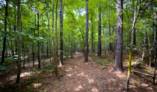 Photo #38 of Off Townsville Road - Lot 4B, Bullock, NC 18.8 acres