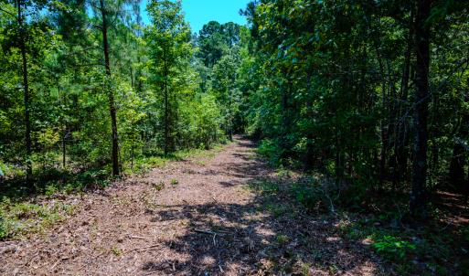 Photo #15 of Off McLean Chapel Church Rd, Bunnlevel, NC 37.4 acres