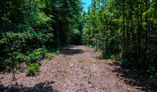 Photo #29 of Off McLean Chapel Church Rd, Bunnlevel, NC 37.4 acres