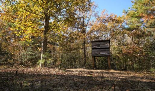 Photo of SOLD!  120 Acres of Hunting Land For Sale in Nash County NC!