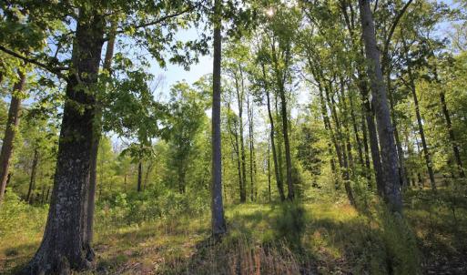 Photo of UNDER CONTRACT!  .56 acres of Waterview Lot For Sale in Bertie County NC!