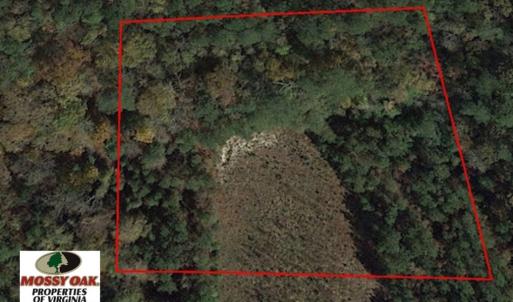 Photo of SOLD!  2.3 Acres of Hunting Land for Sale in Suffolk VA!