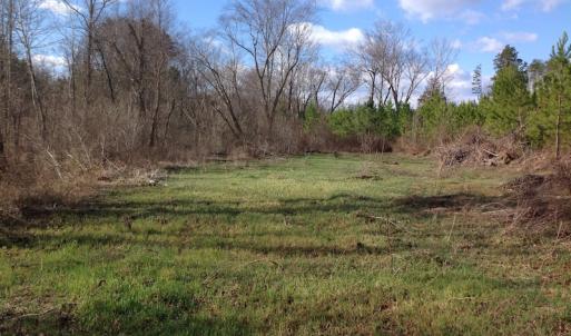 Photo of UNDER CONTRACT!  174 Acres of Hunting Land For Sale in Pittsylvania County VA!