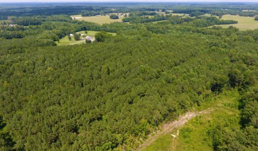 Photo of SOLD!  30 Acres of Hunting and Timber Land For Sale in Warren County NC!