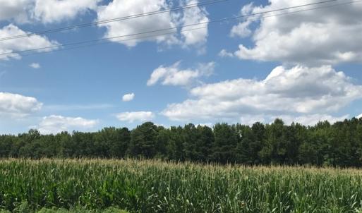 Photo of SOLD!  25 Acres of Farm and Timber Land For Sale in Perquimans County NC!
