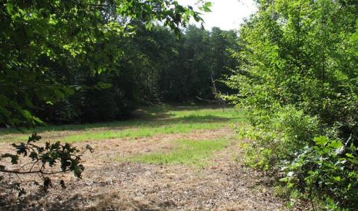 Photo of SOLD!  81.57 Acres of Prime Hunting and Investment Land For Sale in Rockingham County NC!