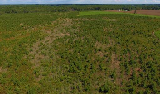 Photo of UNDER CONTRACT!  92.6 Acres of Farm and Timber Land For Sale in Wilson County NC!