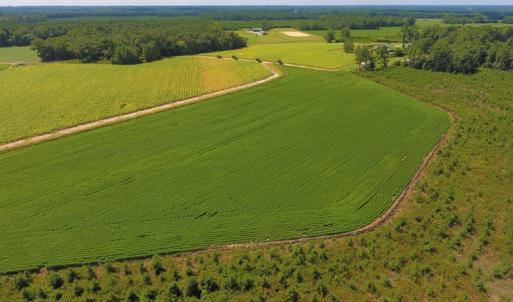 Photo of UNDER CONTRACT!  92.6 Acres of Farm and Timber Land For Sale in Wilson County NC!