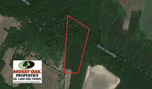 Photo of UNDER CONTRACT!  13.23 Acres of Hunting and Timber Land for Sale in Columbus County NC!