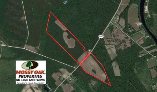 Photo of UNDER CONTRACT!  61.19 Acres of Farm and Timber Land For Sale in Columbus County NC!