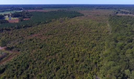 Photo of UNDER CONTRACT!  37.5 Acres of Hunting Land For Sale in Hertford County NC!