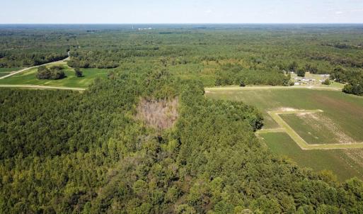Photo of UNDER CONTRACT!  72 Acres of Hunting and Managed Timber Land For Sale in Northampton County NC!