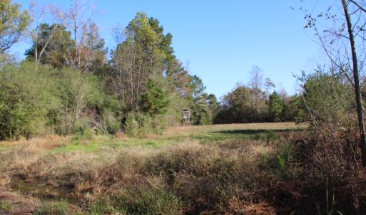 Photo of SOLD!  65 Acres of Hunting and Farm Land For Sale in Sampson County NC!