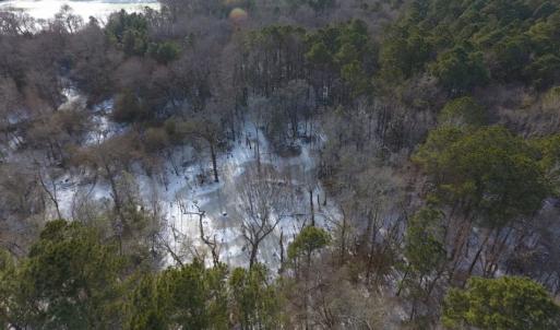 Photo of UNDER CONTRACT!  25.25 Acres of Creek Front Hunting Land For Sale in Edgecombe County NC!