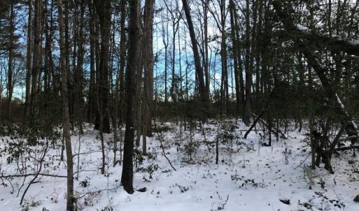Photo of UNDER CONTRACT!  25.25 Acres of Creek Front Hunting Land For Sale in Edgecombe County NC!